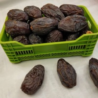 Kudüs Hurması